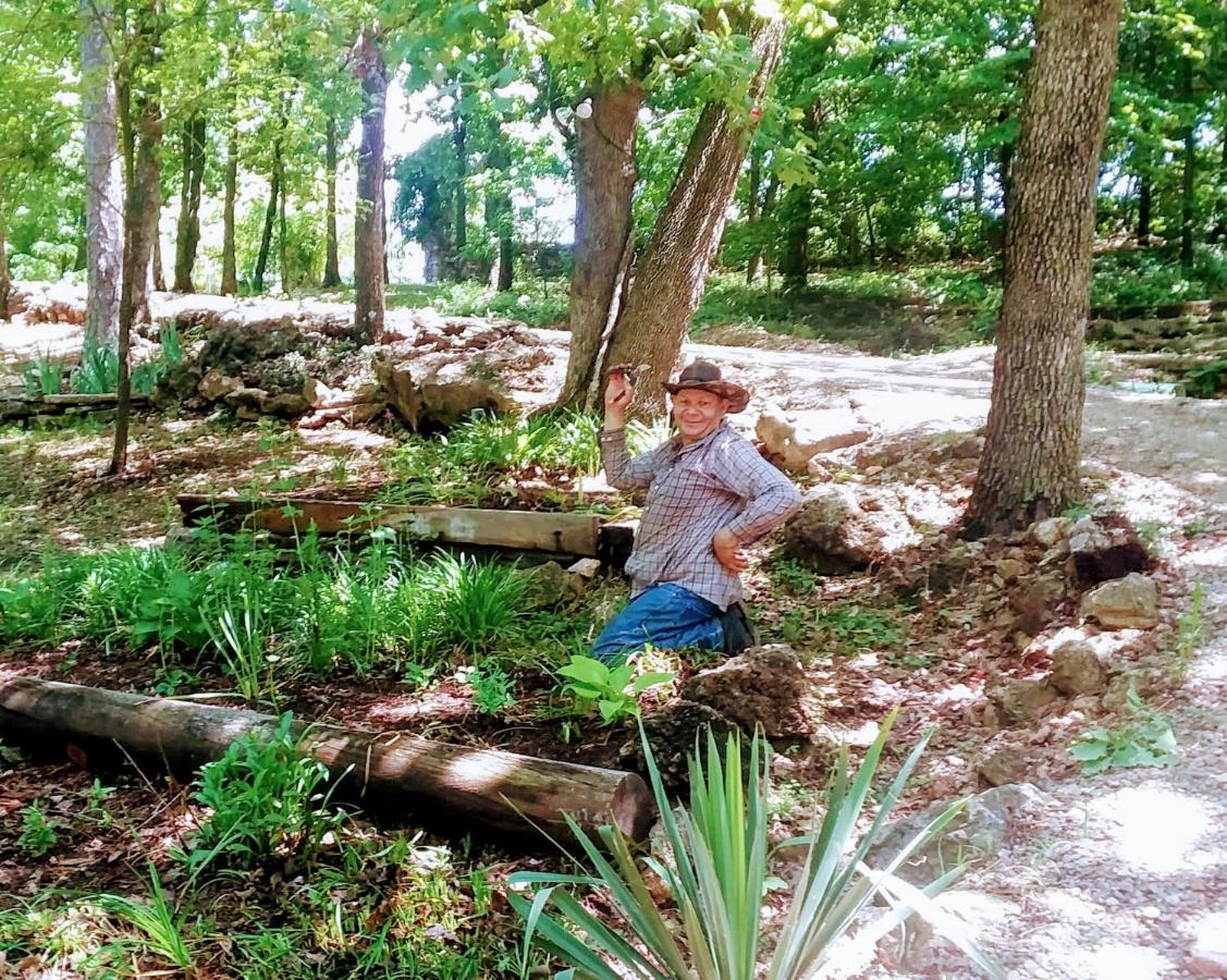 Cherokee Mountain Log Cabins يوريكا سبرينغز المظهر الخارجي الصورة