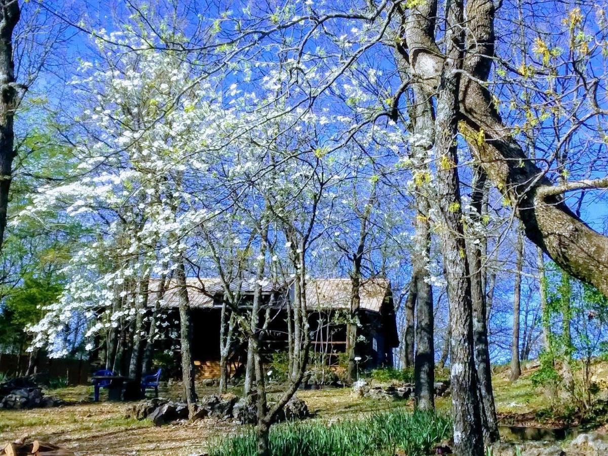 Cherokee Mountain Log Cabins يوريكا سبرينغز المظهر الخارجي الصورة